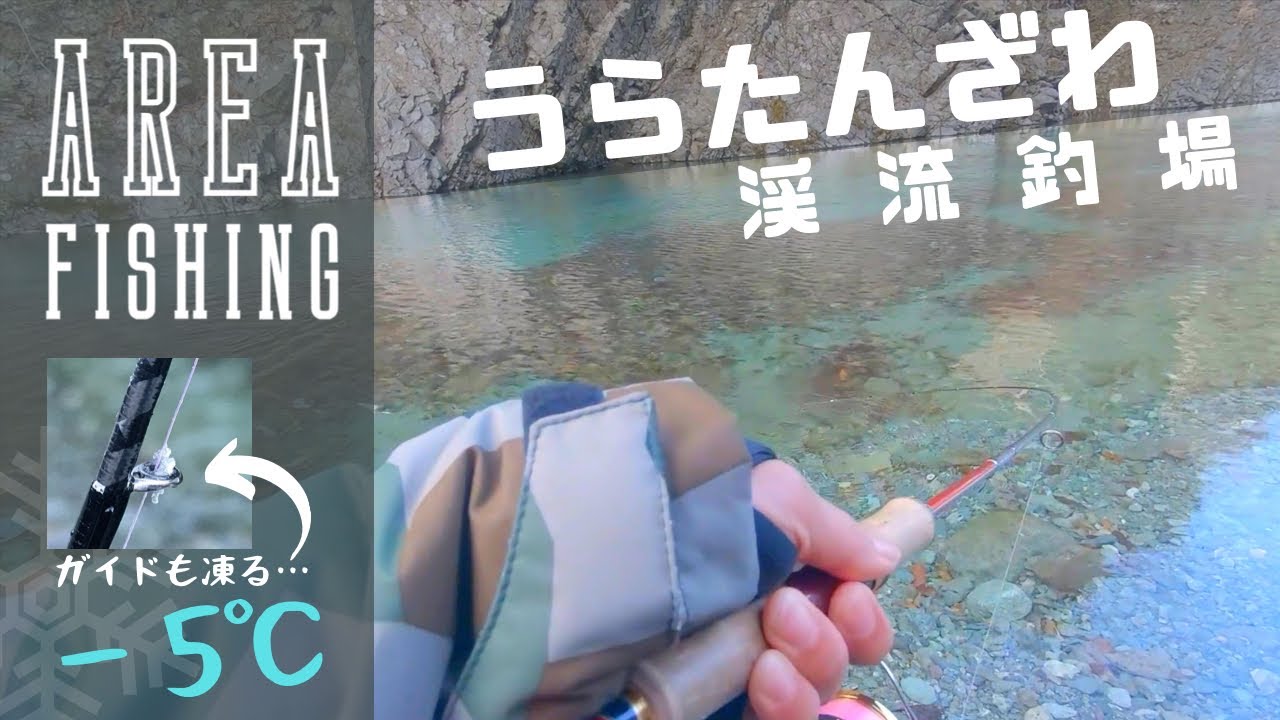 【Area Trout】ガイドも凍る氷点下！真冬のうらたんざわ渓流釣場【管理釣り場】