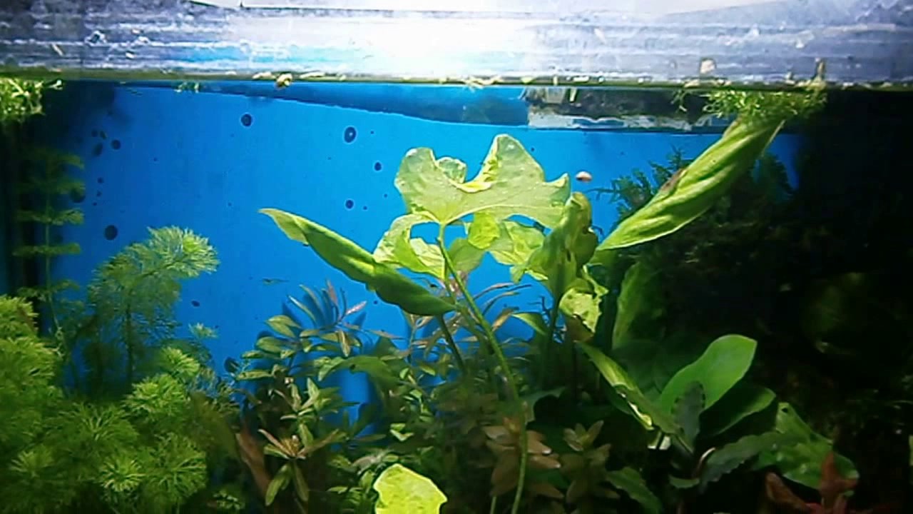 О некоторых 