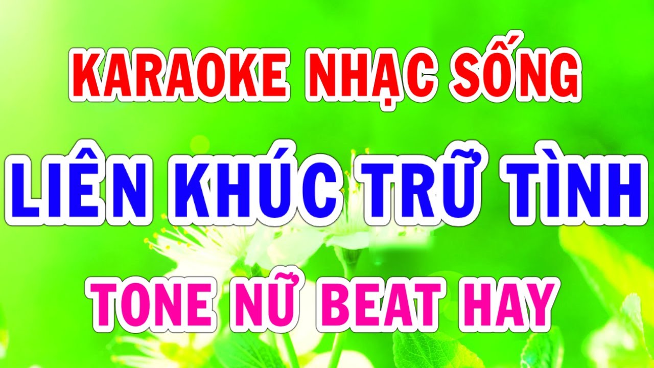 Karaoke Liên Khúc Trữ Tình Tone Nữ Beat Hay Nhất Nhạc Sống Thành Lý