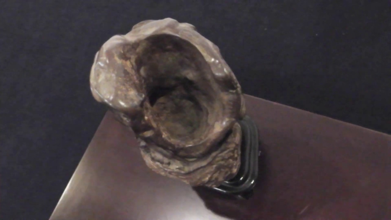 第四十四回静岡県西部連合水石展2019 Suiseki Exhibition in Aeru 2019.06.10