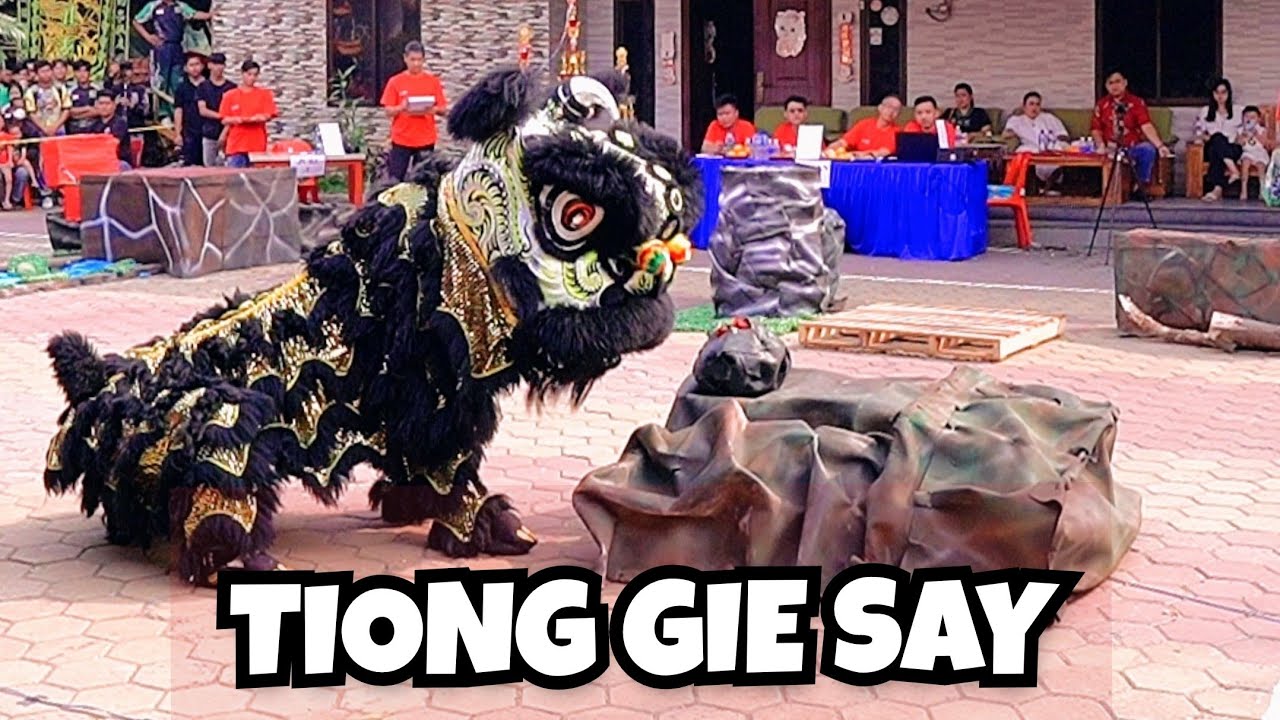 TIONG GIE SAY | SINGA JANTAN MENCARI BERLIAN YANG HILANG | YANG SEN BIO CUP 2024