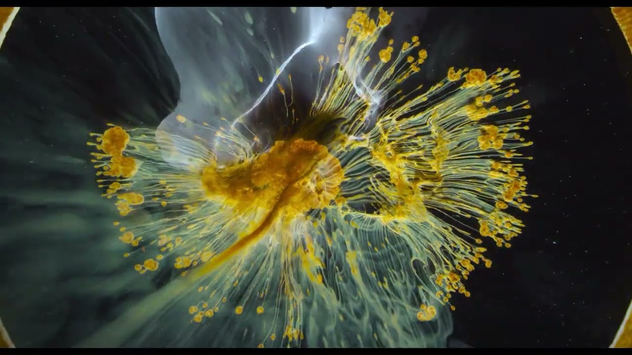Voyage of Time: Il cammino della vita - Trailer italiano