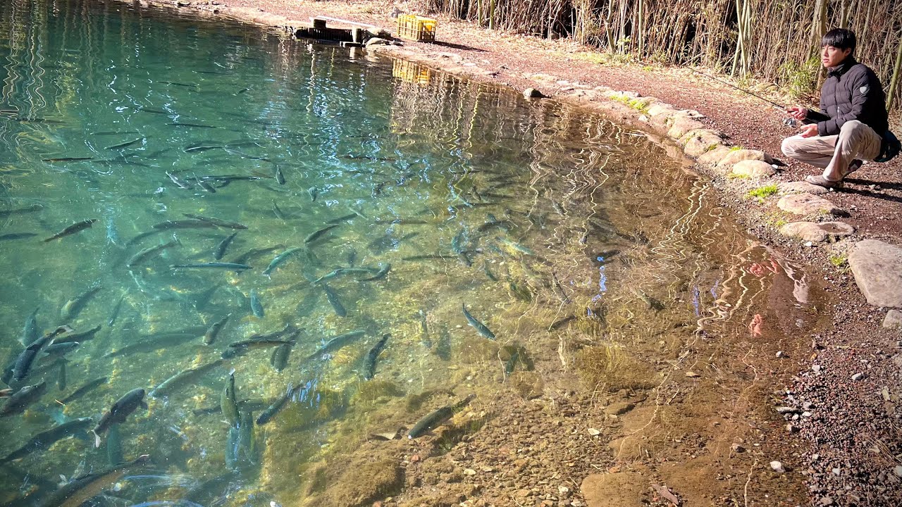 全国から客が絶えない釣堀。100匹に1匹だけ混じる超大物を狙い撃つ。