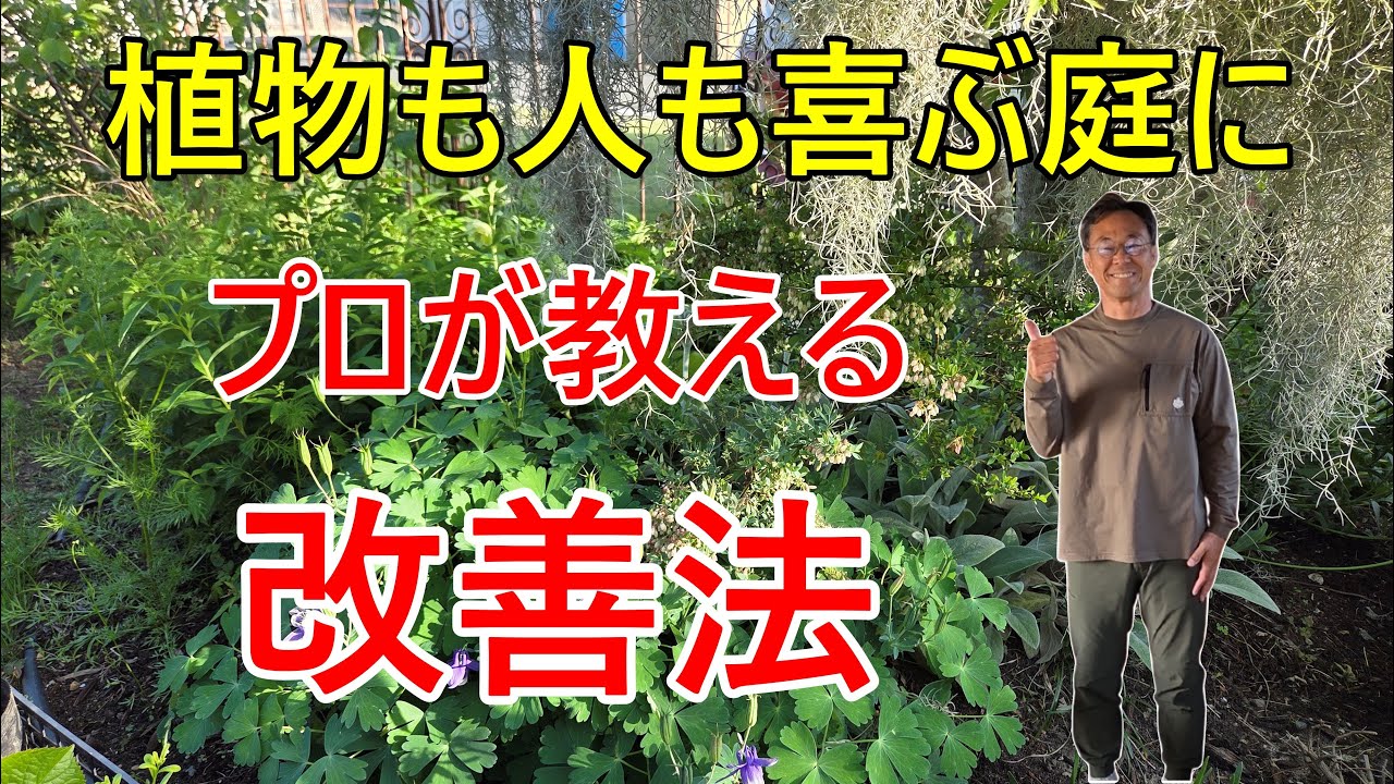 [ガーデニング] 庭の環境、見直しませんか？植物も人も心地よく過ごす工夫
