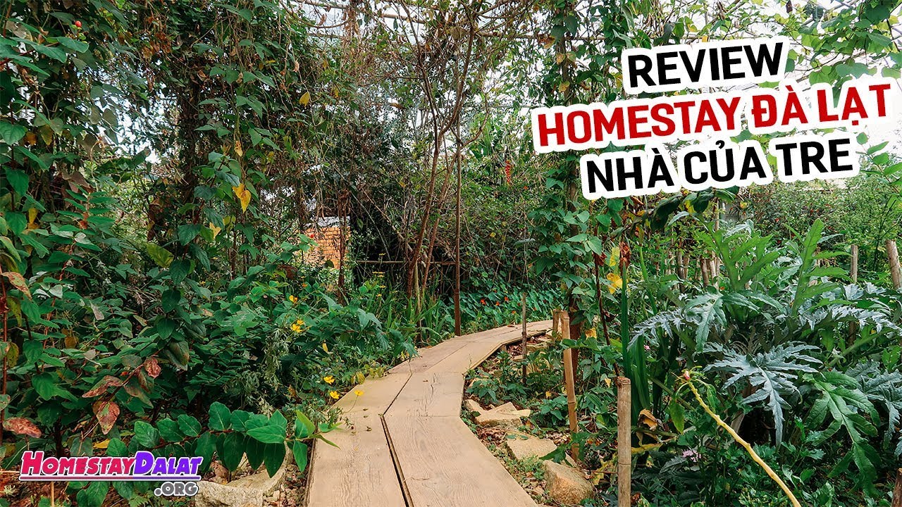 Review Nhà Của Tre House Homestay Đà Lạt | Khu Vườn Bí Mật Tuyệt Vời