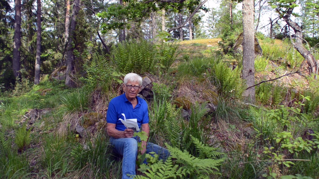 Backstugan Udden