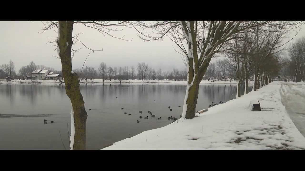 Jezero zajarki Zaprešić