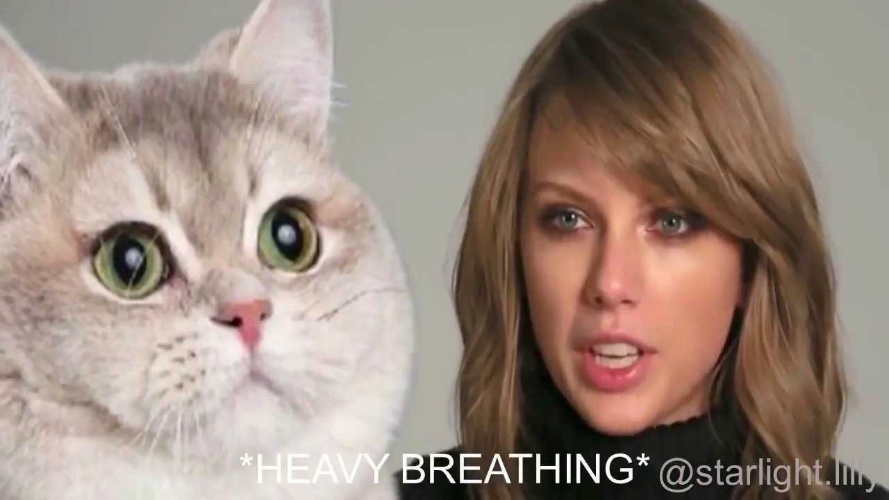 LEARN THE ALPHABET WITH TAYLOR SWIFT