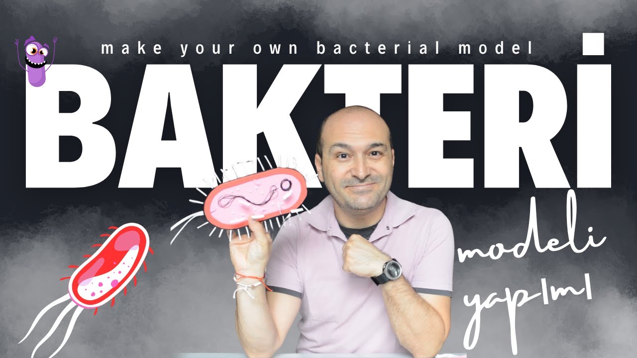 Bakteri modeli yapımı Make your own bacterial model Lise ve Ortaokul Deneyleri Kurtuluş ATLI