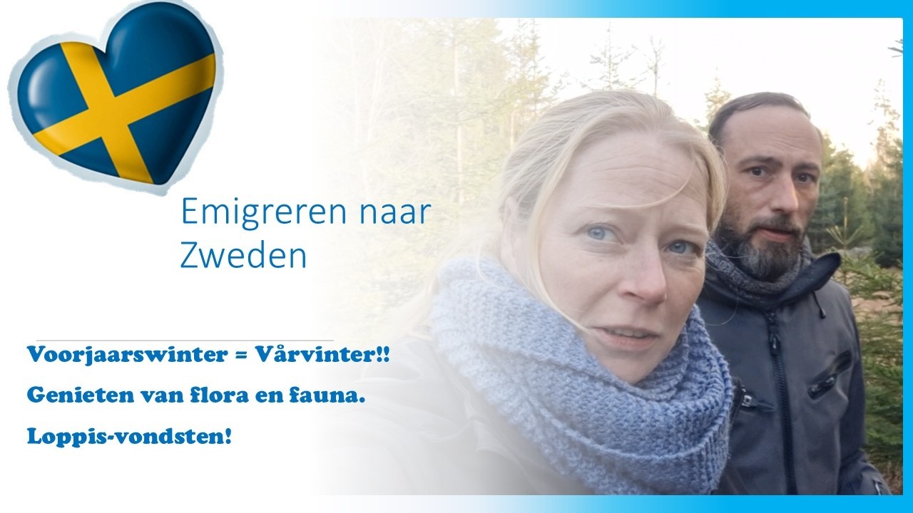 Vlog 26 - Emigreren naar Zweden, voorjaarswinter met flora en fauna