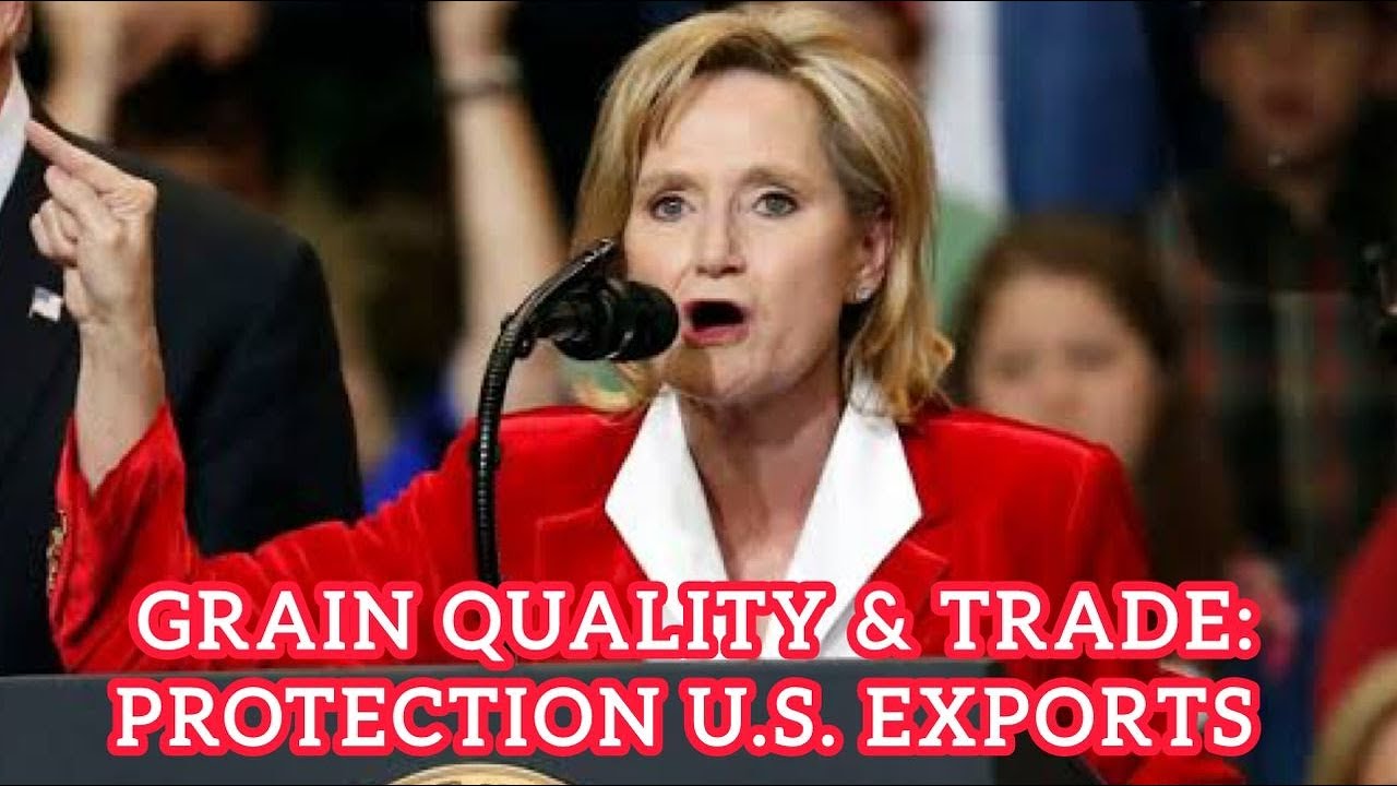 Ensuring U.S. Grain Quality: Expert Insights on Trade & Grain Standards Act Reauthorization