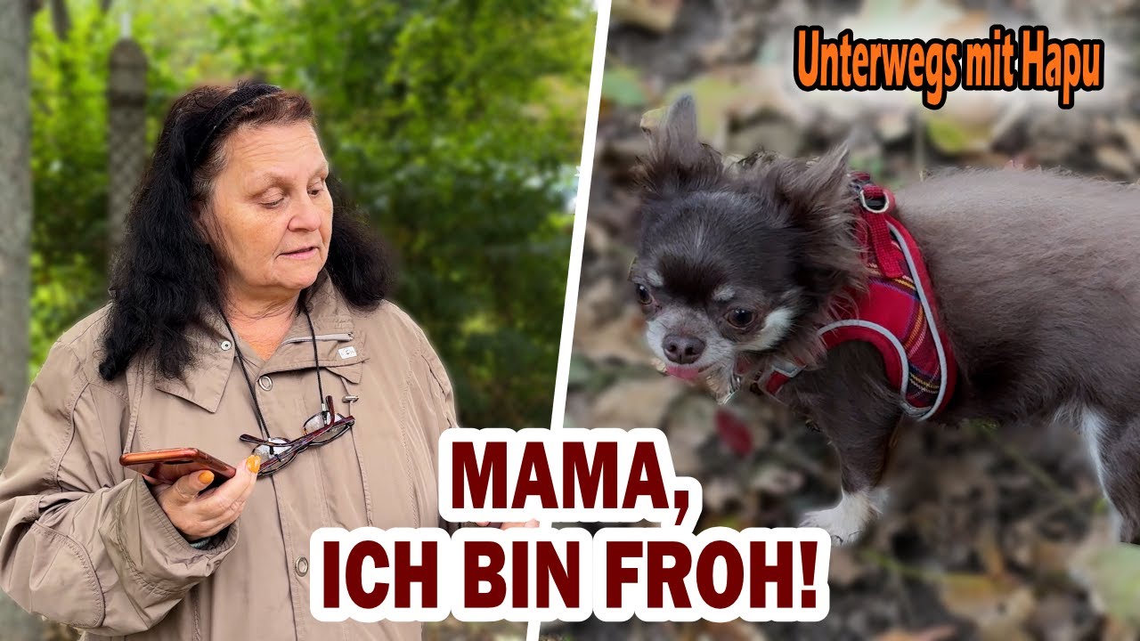 Meine Hundestory: Chihuahua mit großem Herzen – ehrlich & persönlich
