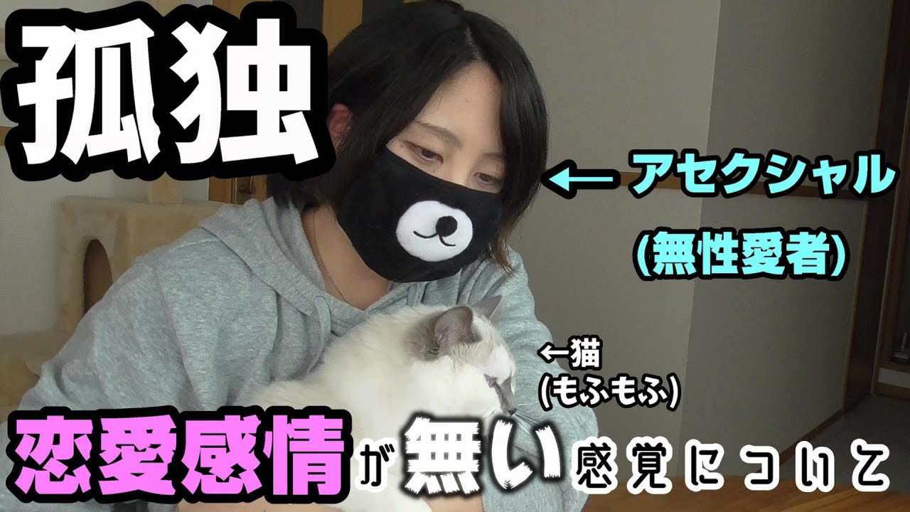 【20代独身アセク女子】恋愛感情が無い感覚を解説してみる