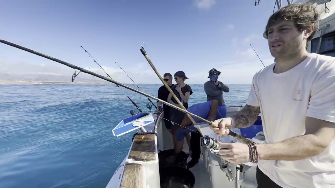 Blue Marlin 3 Gran Canaria