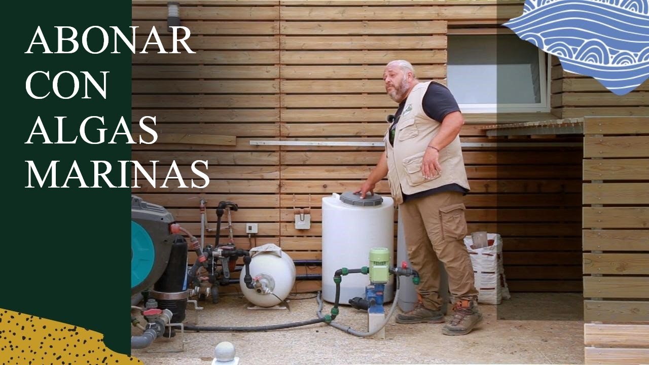 ABONAMOS con ALGAS MARINAS