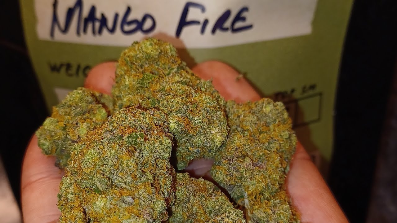 Mango Fire, Indoor grown @rogueorigincbd (is it good?)