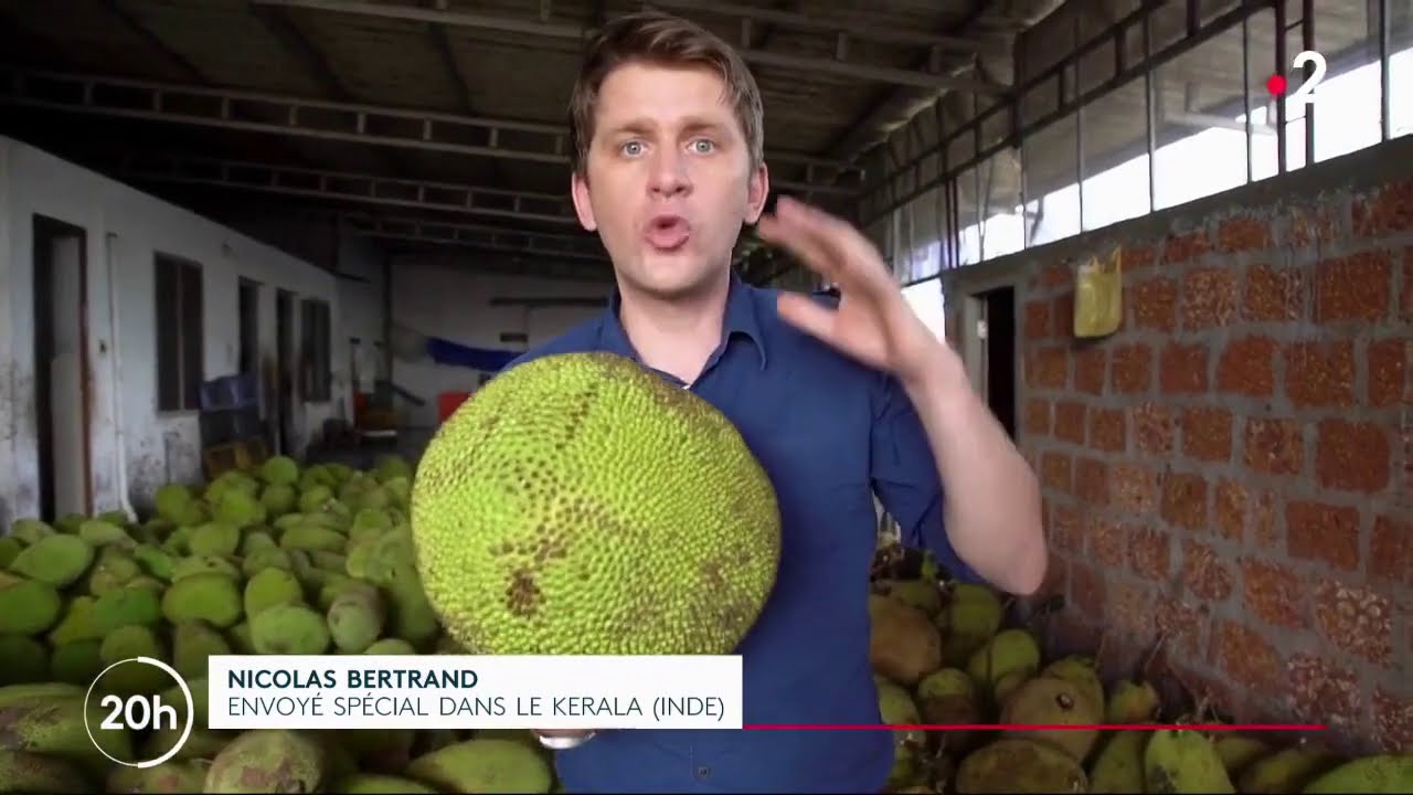 Le jacque : un fruit qui révolutionne nos assiettes