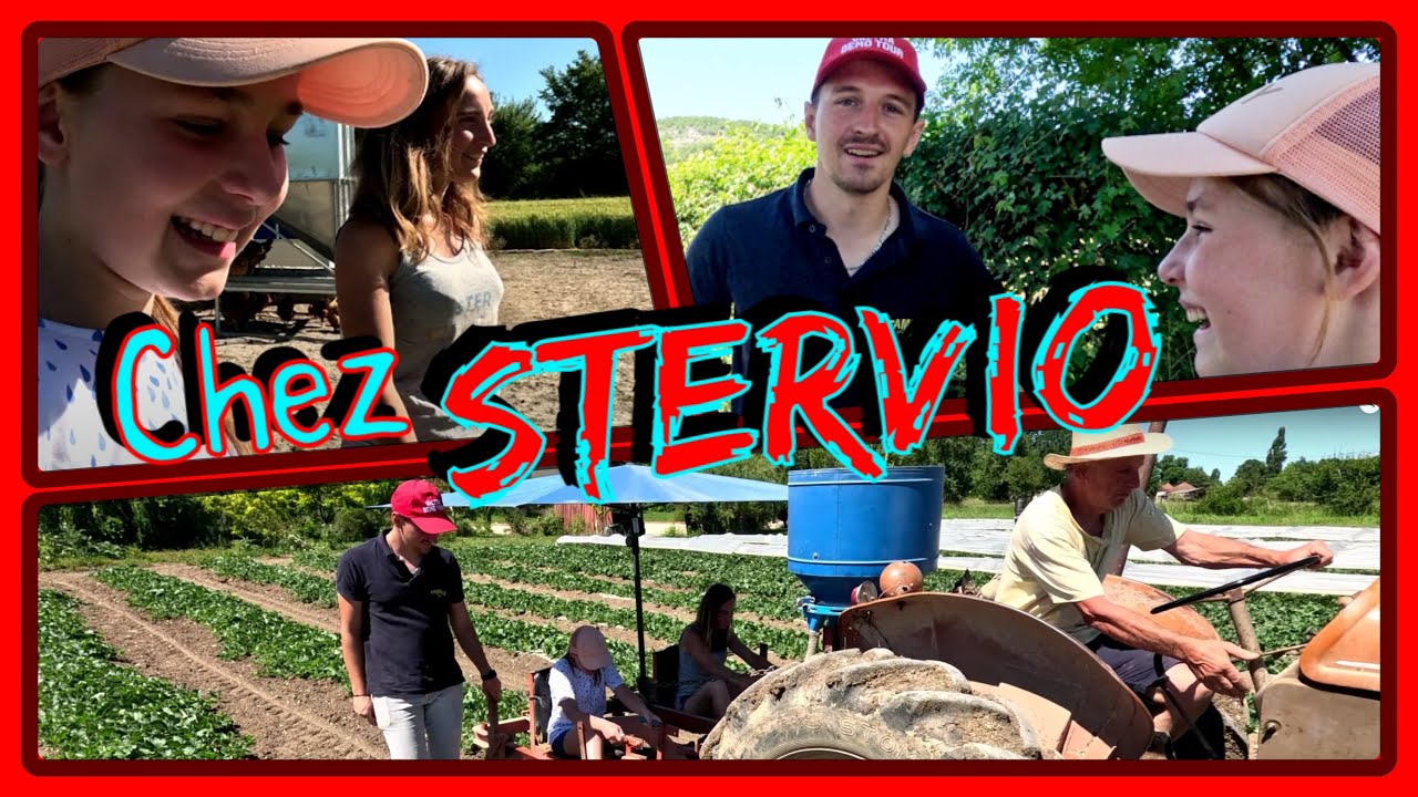 1JOUR AVEC STERVIO ET SARAH, MELON, QUAD, POULE, BINAGE bref les travaux de leur ferme avec eux !