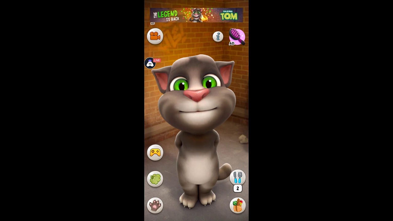 English Talking Tom Cat : 👍 Good stream | Playing Solo | Streaming with Turnip