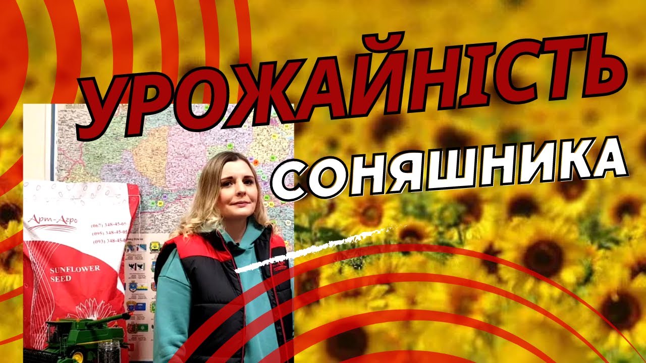 Врожайність соняшника Арт-Агро по різних регіонах України
