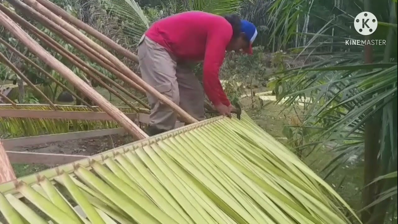 Tutorial de como Fazer um chapéu  de palha ! em seu Sitio