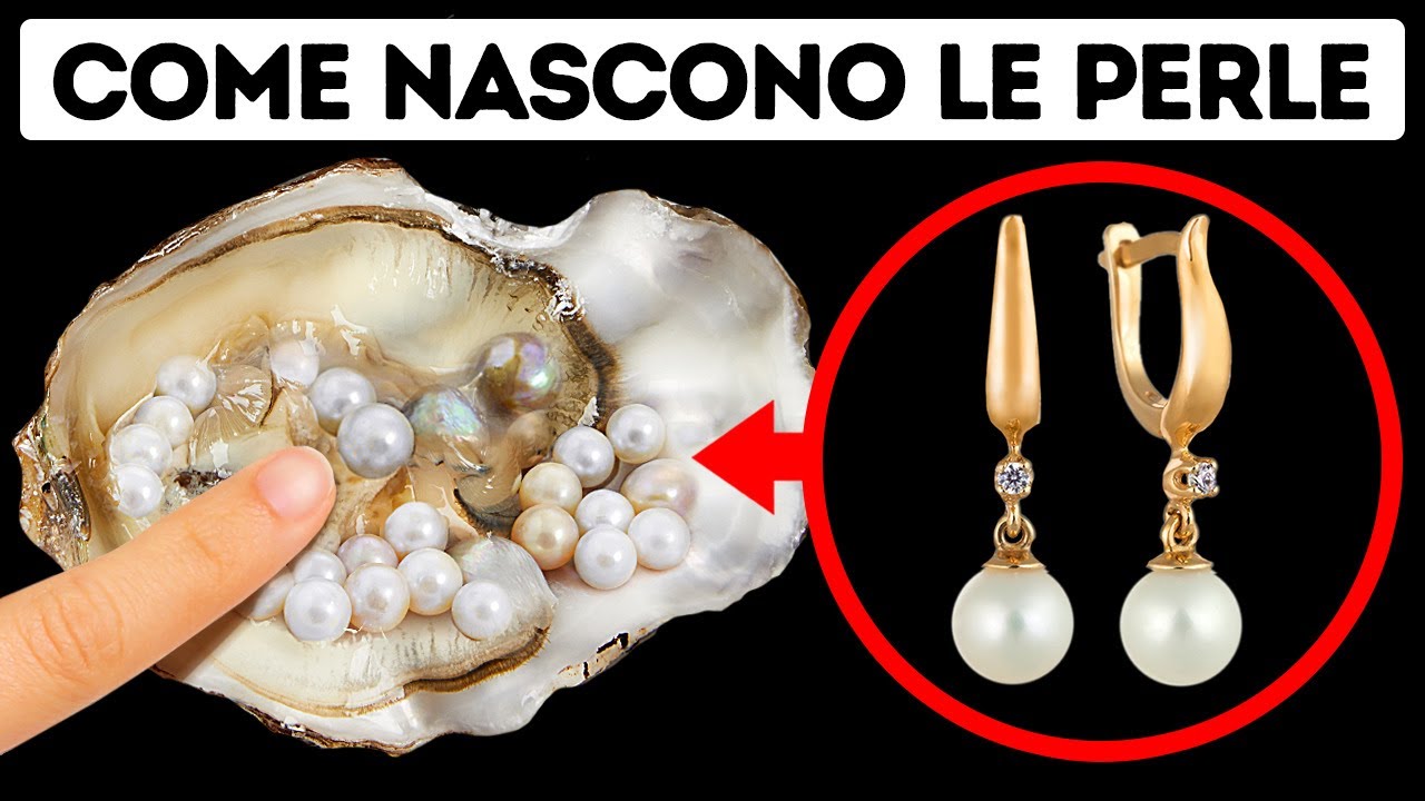 Come E Perché Le Ostriche Fanno Le Perle?