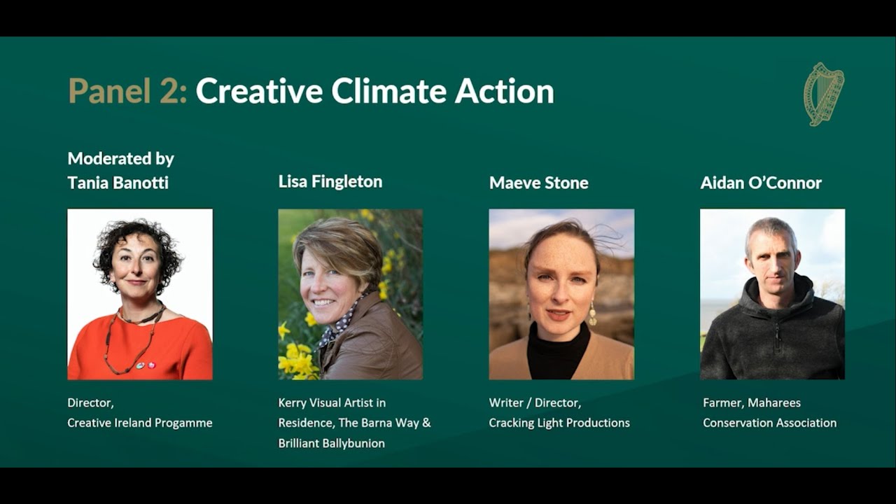 Status of the Artist in Ireland – Creative Climate Action Panel