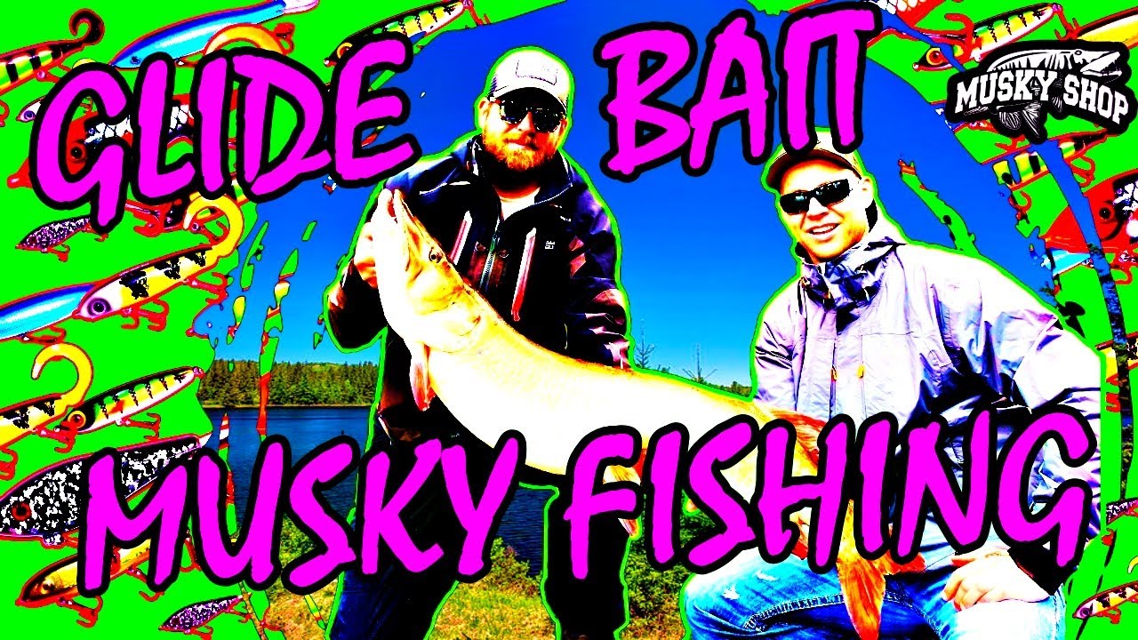Glide Bait Musky Fishing!