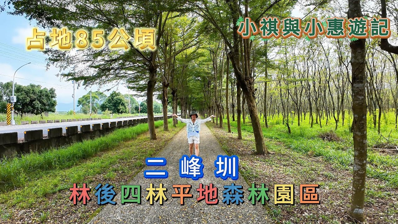 85公頃，騎自行車，親子旅遊，林後四林平地森林公園