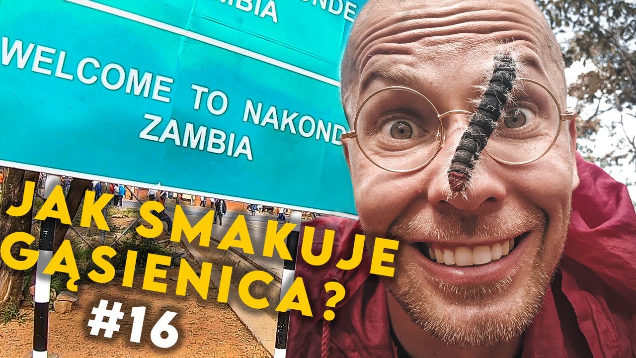 JAK SMAKUJE GĄSIENICA W AFRYCE - Zambia