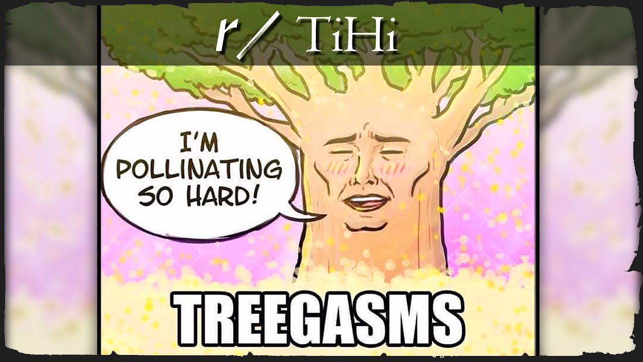 r/TiHi - CURSED Allergy