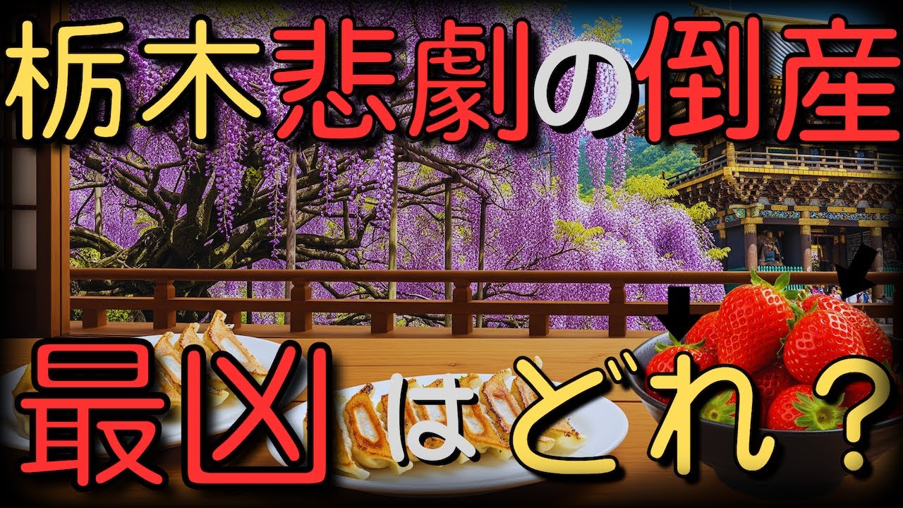 栃木県の倒産厳選１２選！誰も教えてくれないその内幕とは？【ゆっくり解説】