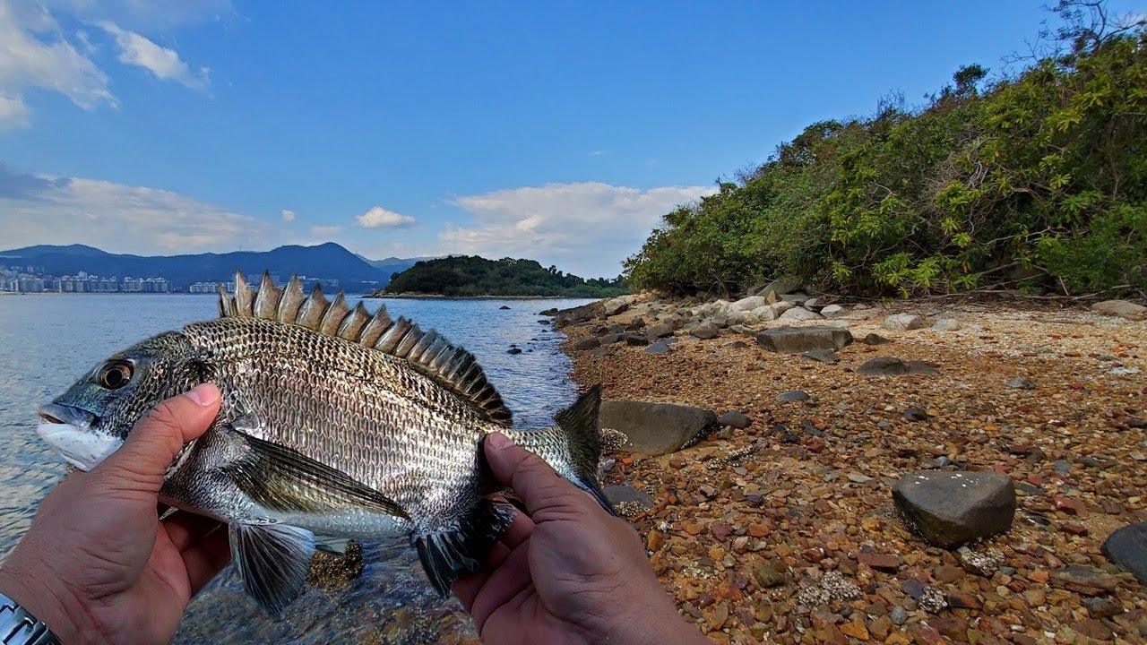 磯釣 | 全游動 - 吐露港的步兵釣場，人工石壆和天然砂石灘，如何選擇釣組？