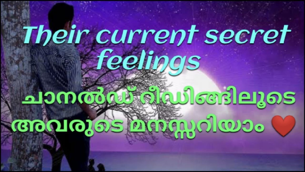 ♦️✨അവരുടെ സീക്രെട് ഫീലിംഗ്സ് 🥰Channeled reading reveals their secret feelings🌹