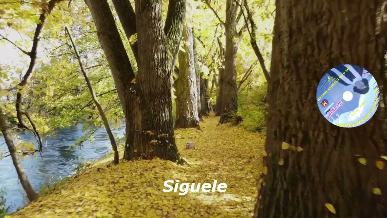 Ady Roblero /CRISTO ES EL CAMINO / Vol 8 Voy a Mi eterno Hogar