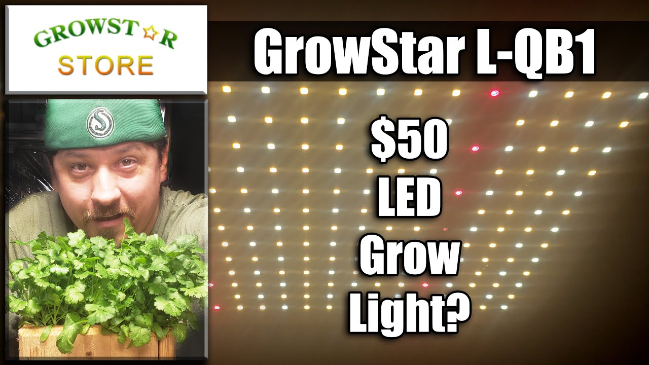 Inexpensive LED Grow Light Review - Growstar QB1