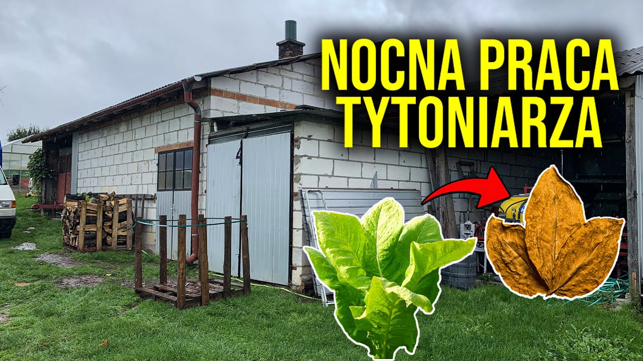 MOJA NOCNA ZMIANA NA GOSPODARSTWIE
