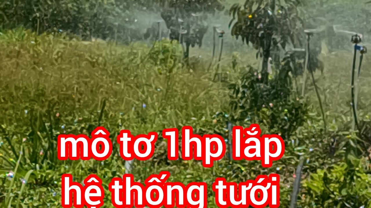 hệ thống tưới nước tự động tại trường lạc ôn môn cần Thơ bec v7 đưa vào tưới