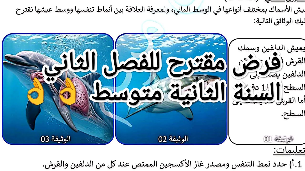 #فرض مقترح للفصل الثاني#السنة الثانية متوسط #تحضيرا للفرض 