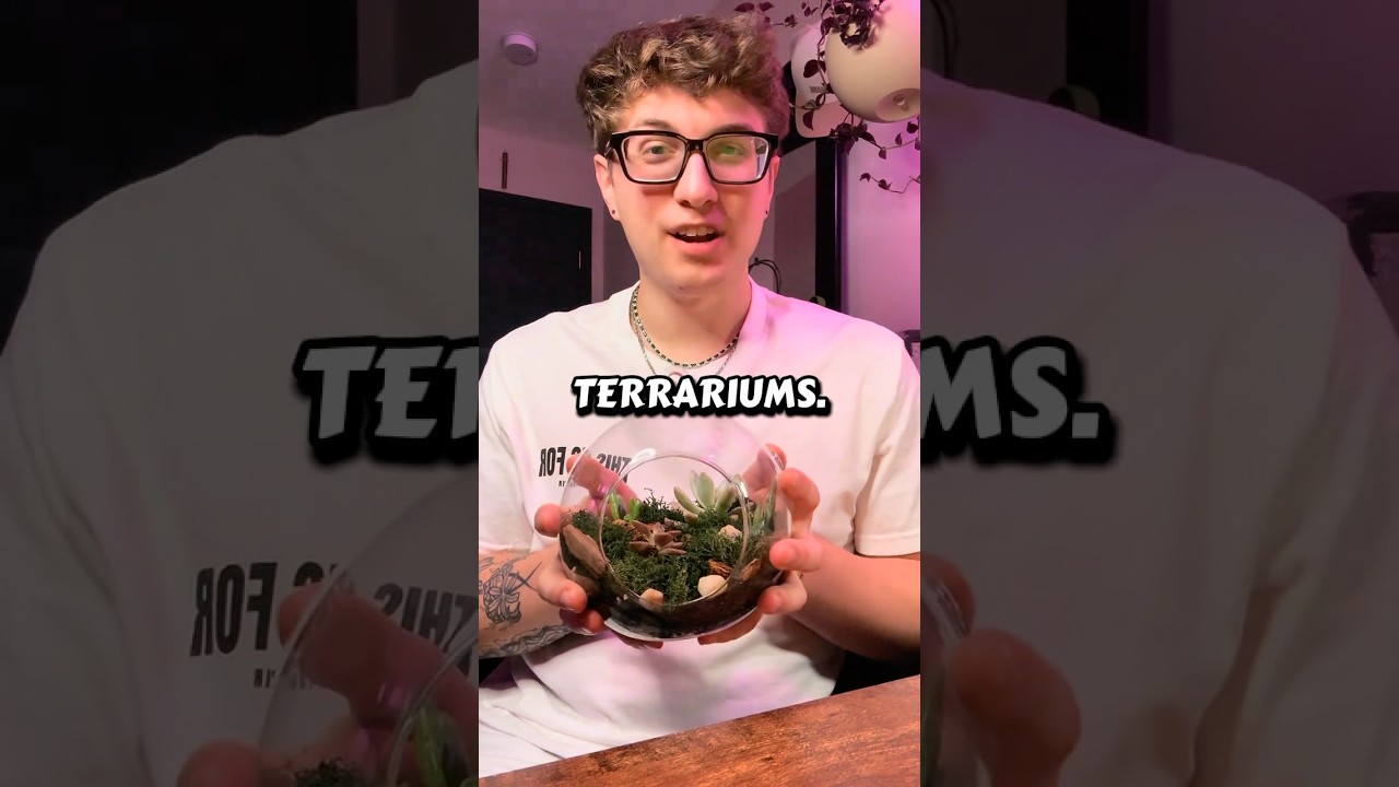 Terrariums work like mini ecosystems  #terrarium #plantfacts #waterterrarium #plantchores #succulent