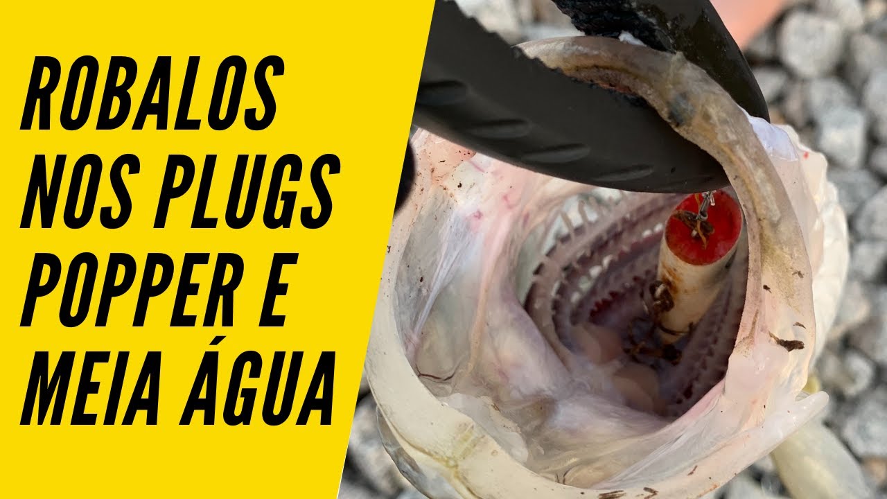 Pesca de Robalo com Plug