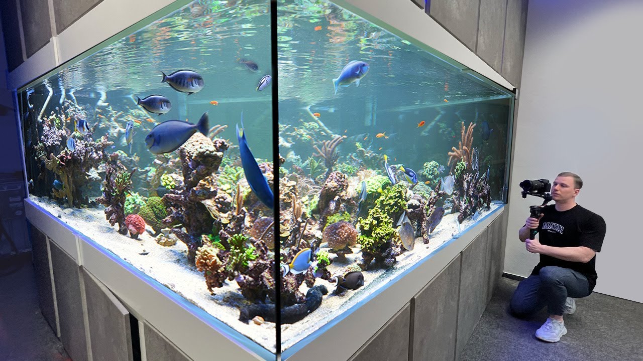 XXXXL REEF TANK!! Biggest private coral reef tank in Germany?! *wow*