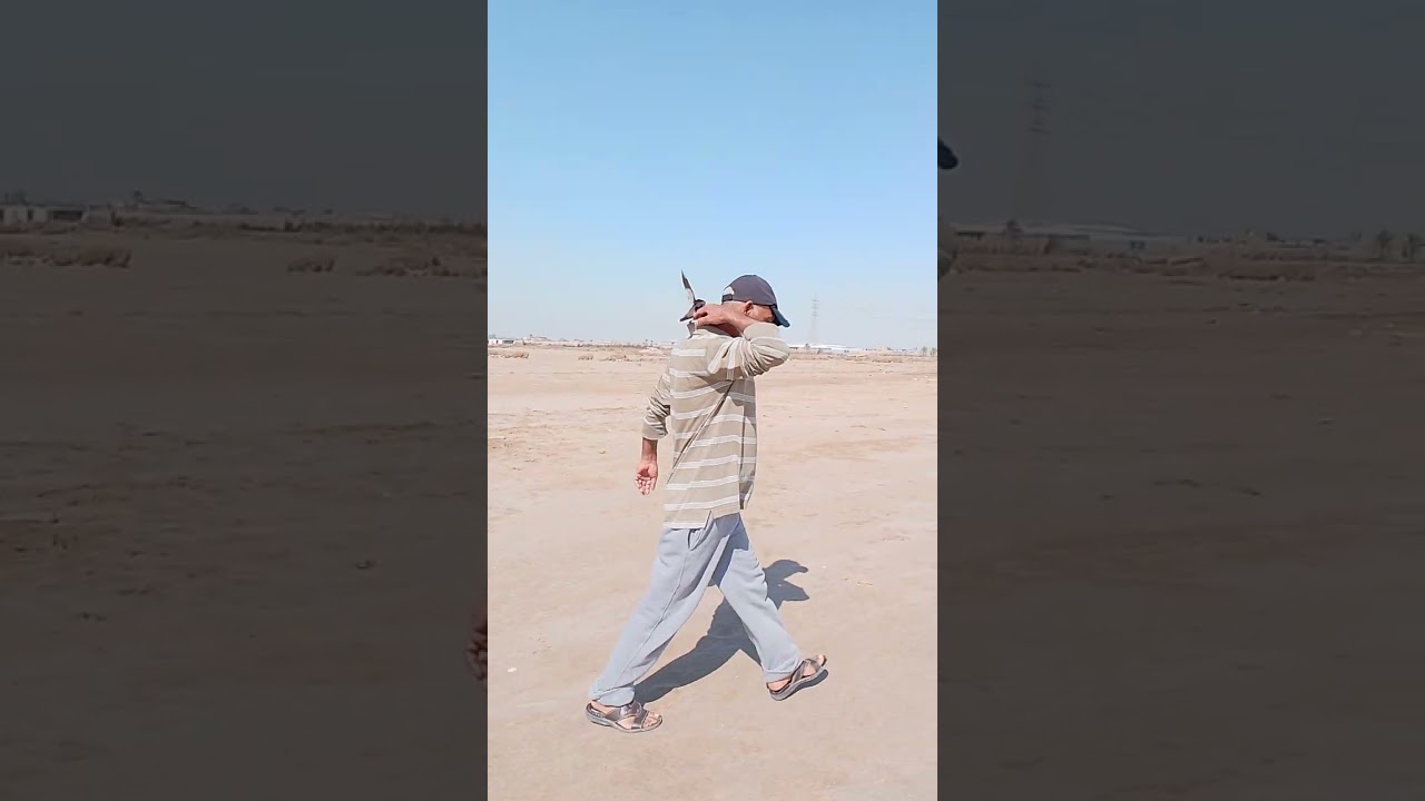 16 فبراير 2026
