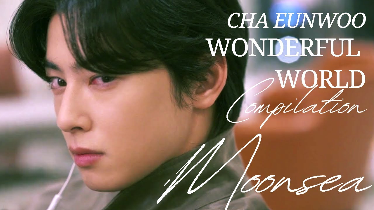 Moonsea | Wonderful World Cha Eunwoo Kwon Seonyul Compilation |  Mix Mashup 차은우 원더풀월드 권선율 チャウヌ