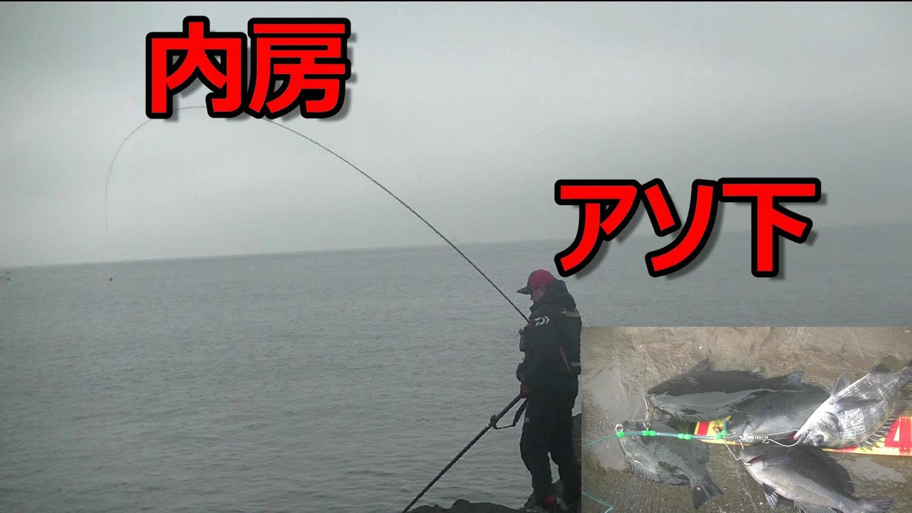 今回も内房アソ下に行ってきました！
