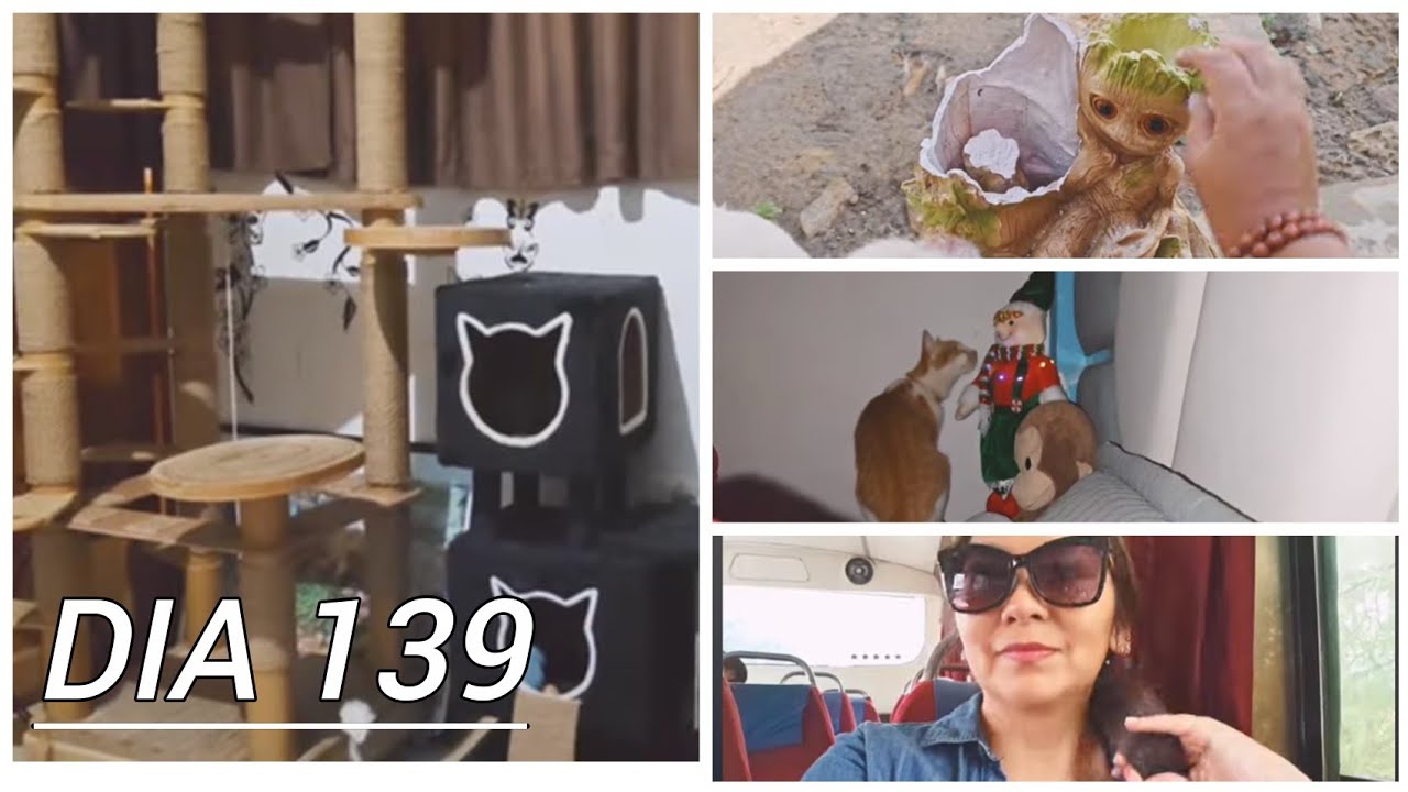Planes tranquilos y momentos reales 💛 | Vlog de un día normal
