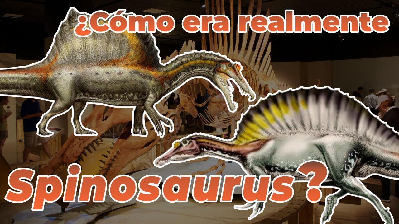 ¿Cómo era realmente Spinosaurus?