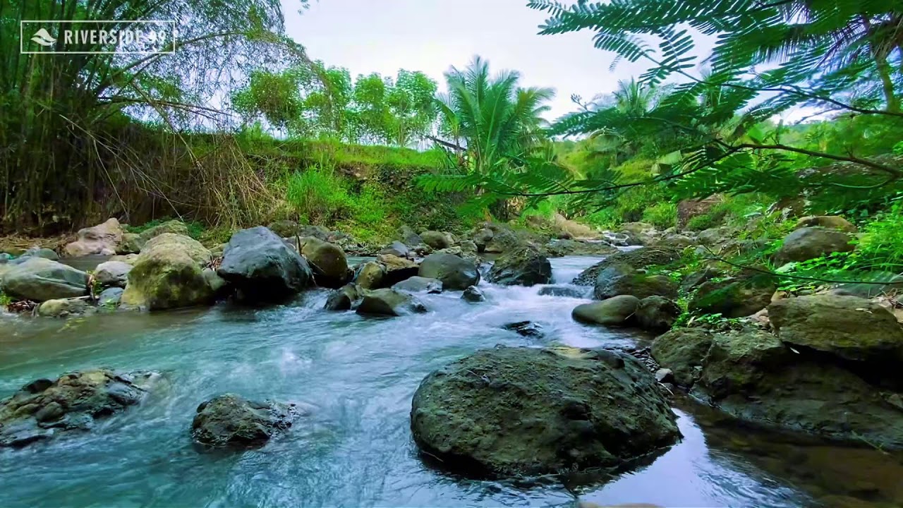 Mountain River Flowing Sounds 24/7 for Sleeping | Nature Water Sounds White Noise for Relaxation #22