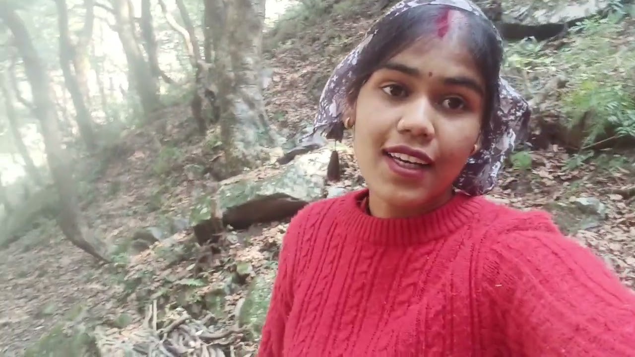 इतने घने घने जंगल 😱⛰️में थे सिर्फ हम चार यह हमारे सामने अचानक पता नहींक्या आ गया 🙄🦍🐒 चारों डर गए