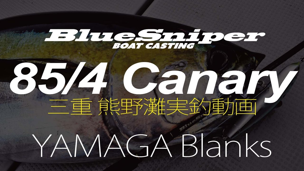 BlueSniper 85/4 Canary - Yellowfin Tuna Casting Game in Kumano Sea, Mie Prefecture